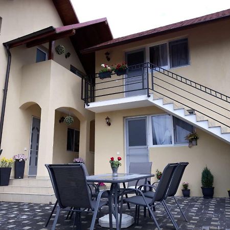 Casa Luisa Apartamento Călimăneşti Exterior foto