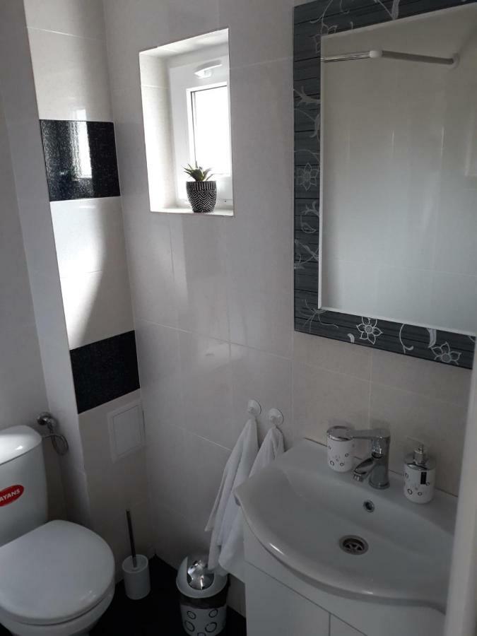 Casa Luisa Apartamento Călimăneşti Exterior foto